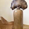 Petit baobab