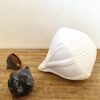Graine d'eucalyptus bouton