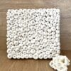 Tableau mural corail blanc globe