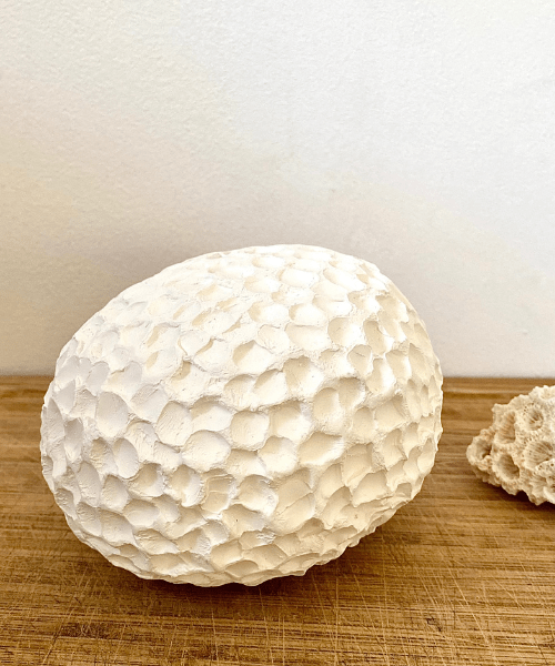 corail-img
